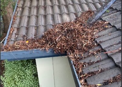Gutter clean